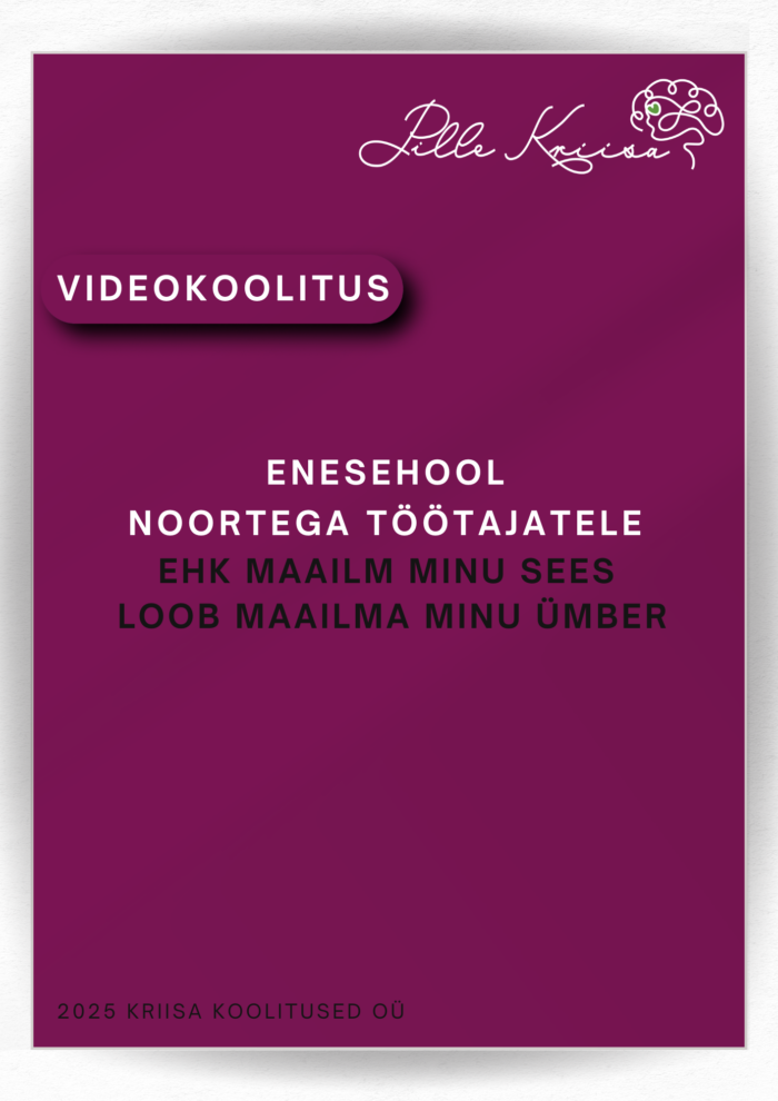 Järelvaadatav videokoolitus: "Enesehool noortega töötajatele ehk maailm minu sees loob maailma minu ümber"